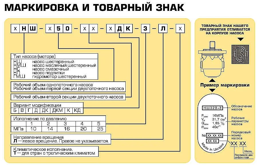 Шестеренный насос НШ-ВЗТА в разрезе, вид на шестерни и корпус